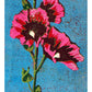 Computer Printed "Elizabeth" Linocut Card